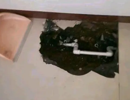 昭化卫生间测漏水多少钱